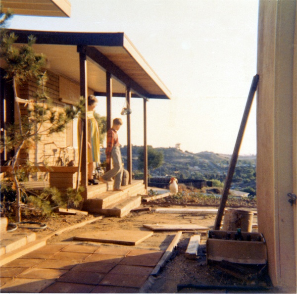 377_cr.jpg