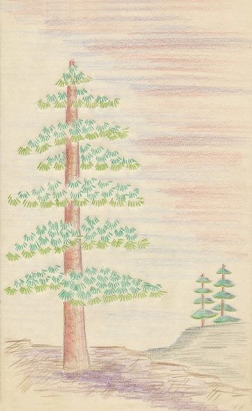251_cr.jpg