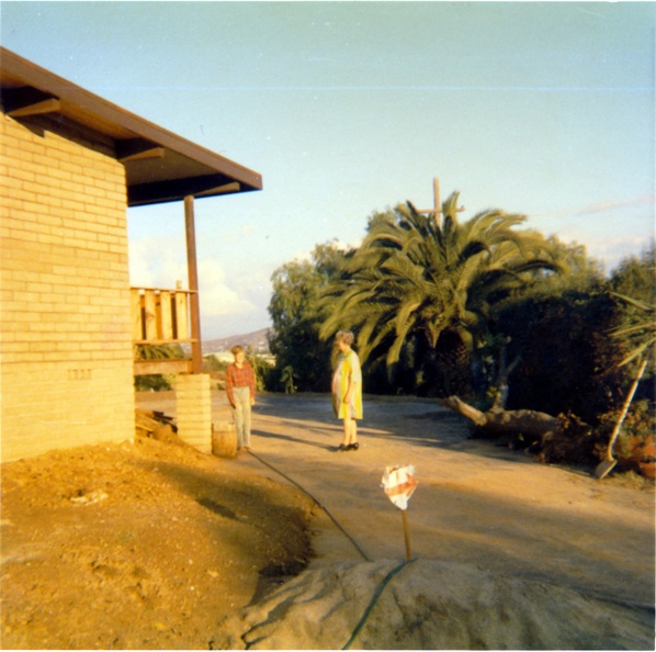378_cr.jpg