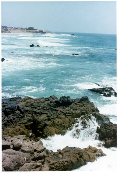 355_cr.jpg