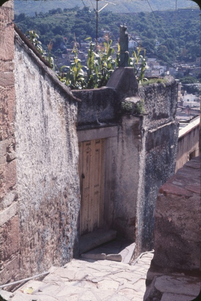 s051_cr.jpg