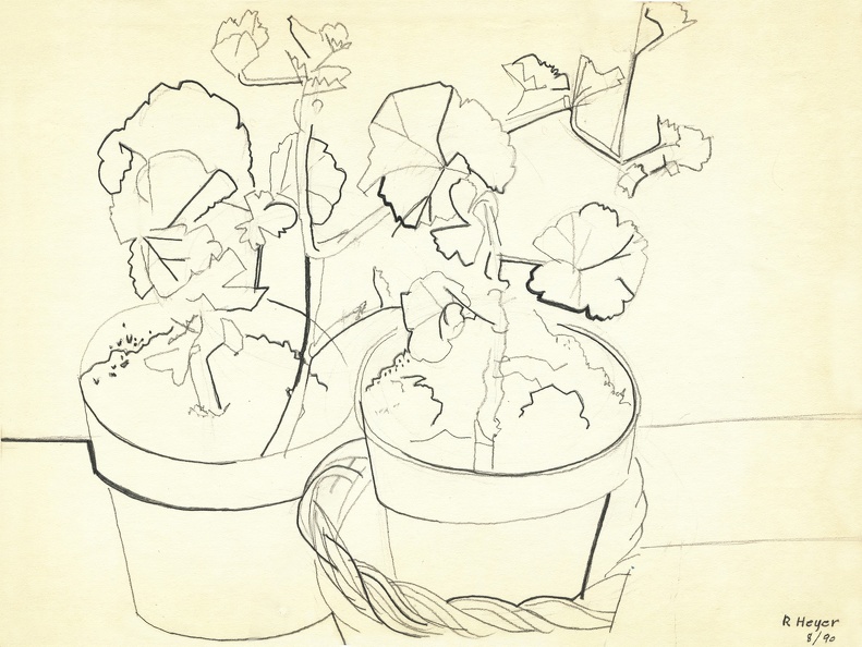 Untitled • Geraniums in Two Pots